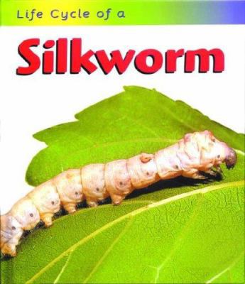 Silkworm 158810396X Book Cover