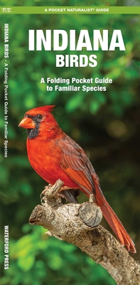 Indiana Birds: An Introduction to Familiar Species B005JEJQK2 Book Cover