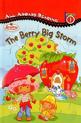 The Berry Big Storm (Strawberry Shortcake (Preb... 0756920388 Book Cover