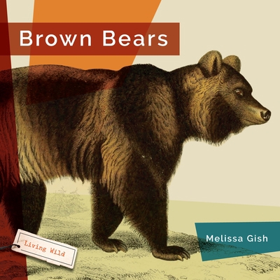 Brown Bears 1640267751 Book Cover