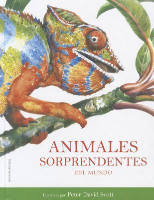 Animales Sorprendentes del Mundo [Spanish] 8426138705 Book Cover