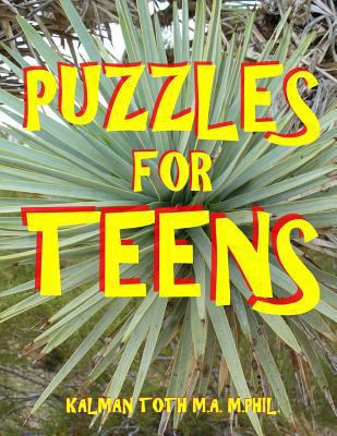 Puzzles for Teens: 133 Large Print Themed Word ... 1548824658 Book Cover
