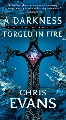 A Darkness Forged in Fire 1416570527 Book Cover