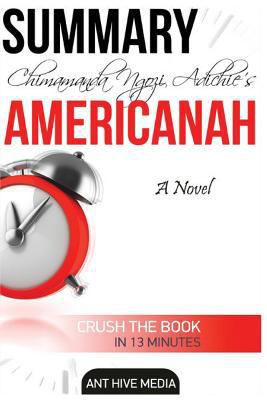 Chimamanda Ngozi Adichie's Americanah Summary