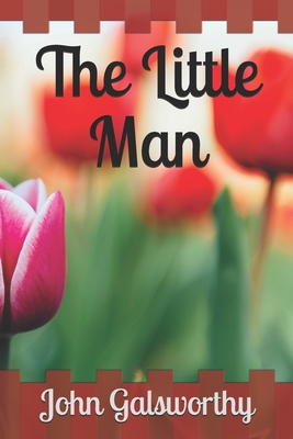 The Little Man 1654354082 Book Cover