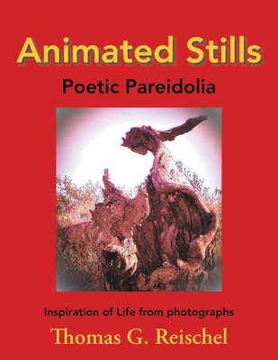 Animated Stills: Poetic Pareidolia 1955070644 Book Cover