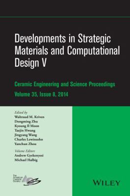 Developments in Strategic Materials and Computa... 1119040280 Book Cover