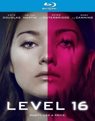Level 16 Book Cover
