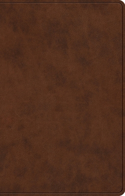 ESV Premium Gift Bible, Red Letter (Trutone, Br... B0DWNF3RZY Book Cover