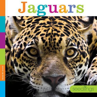 Jaguars 1608187381 Book Cover