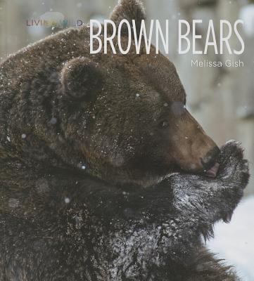 Brown Bears 1608184153 Book Cover