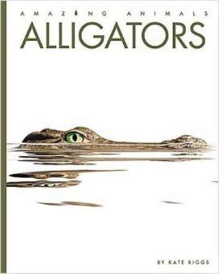 Alligators 1640263772 Book Cover