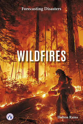 Wildfires B0DVJ12NKQ Book Cover