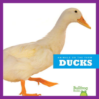 Ducks 1620316293 Book Cover