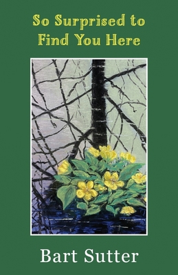 So Surprised to Find You Here: Poems 1947237489 Book Cover