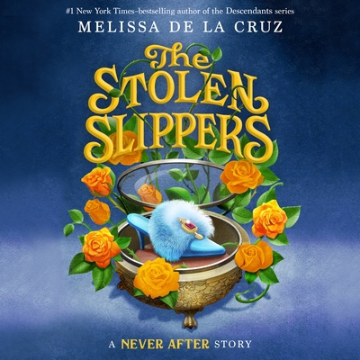 Never After: The Stolen Slippers 1250822564 Book Cover