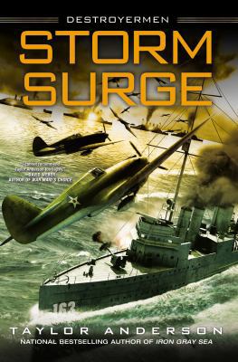 Storm Surge 045146513X Book Cover
