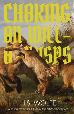 Choking on Will-O'-Wisps 879760433X Book Cover