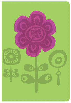 The CSB Big Picture Interactive Bible, Flowers ... 143364827X Book Cover