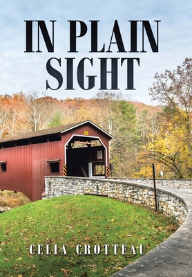 In Plain Sight 1669874311 Book Cover