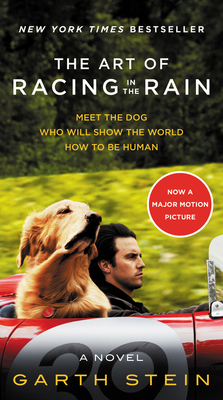 The Art of Racing in the Rain Movie Tie-In Edition 0062370944 Book Cover