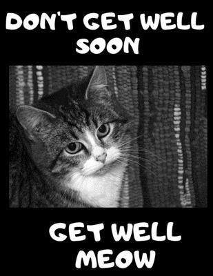 Don't Get Well Soon Get Well Meow: 100 Easy Sud... [Large Print] 1695563484 Book Cover