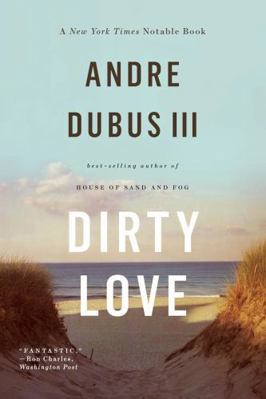 Dirty Love 0393348911 Book Cover