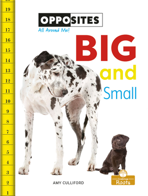 Big and Small 1427140227 Book Cover