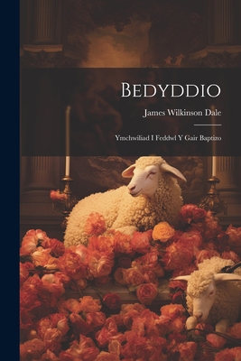 Bedyddio: Ymchwiliad i Feddwl y Gair Baptizo [Welsh] 1022086243 Book Cover