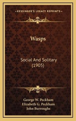 Wasps: Social And Solitary (1905) 116435146X Book Cover