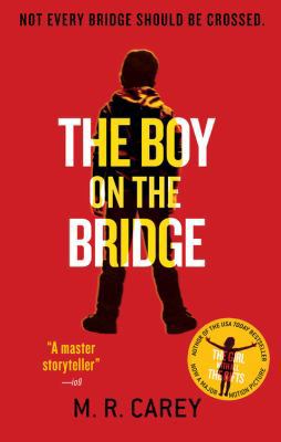 The Boy on the Bridge 0316300330 Book Cover