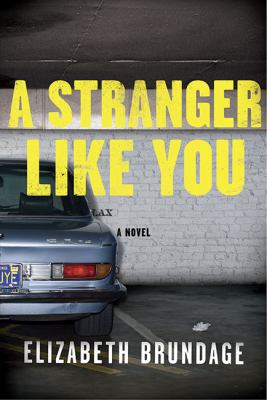 A Stranger Like You: A Novel 0670022004 Book Cover