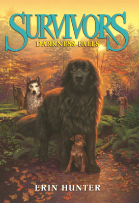 Darkness Falls B0GMZ9FQX1 Book Cover