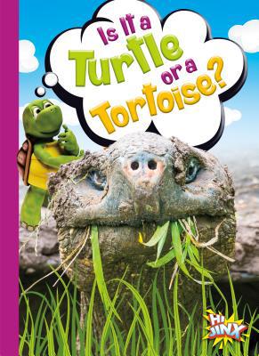 Is It a Turtle or a Tortoise? 1680729012 Book Cover