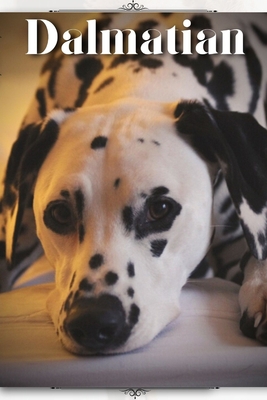Dalmatian: Dog breed overview and guide B0C9SDNJT4 Book Cover