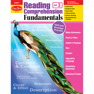 Reading Comprehension Fundamentals, Grade 3 1629384623 Book Cover