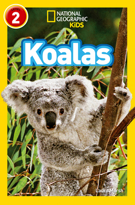 NAT GEO READER - KOALAS 0008266646 Book Cover