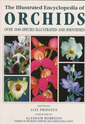 『ORCHIDS』ALEC PRIDGEON The Illustrated Encyclopedia of Orchids book by Alec Pridgeon