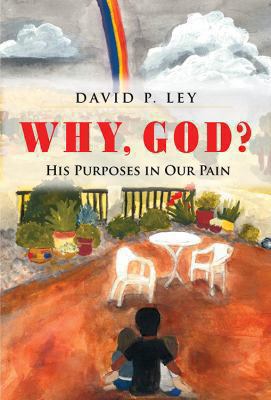 Why, God? His Purposes in Our Pain 1478707534 Book Cover