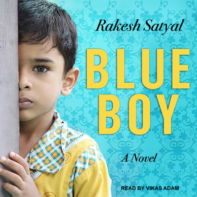 Blue Boy 149454301X Book Cover