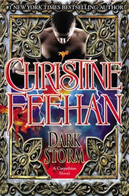 Dark Storm 0425255808 Book Cover