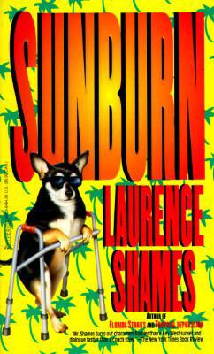 Sunburn 0786889039 Book Cover