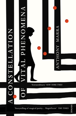 A Constellation of Vital Phenomena B00CA88LX8 Book Cover