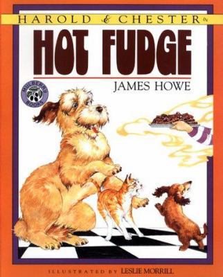 Hot Fudge 068817065X Book Cover