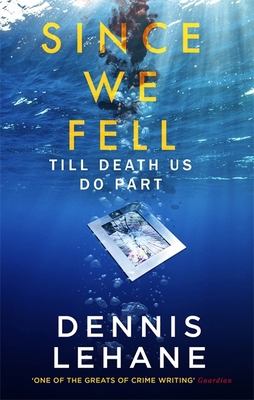 Since We Fell 0349142246 Book Cover