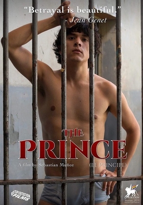 The Prince Book Cover