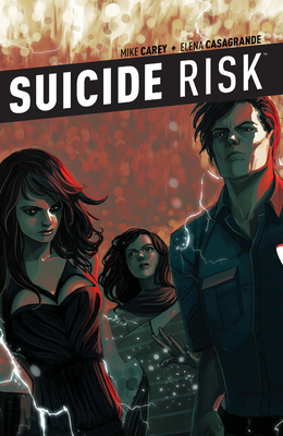 Suicide Risk, Volume 6 1608868141 Book Cover
