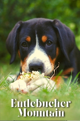 Entlebucher Mountain: Dog breed overview and guide B0C9SJ2SJP Book Cover