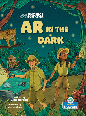 AR in the Dark 1039864724 Book Cover