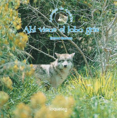 Ahi Viene El Lobo Gris [Spanish] 1631138642 Book Cover